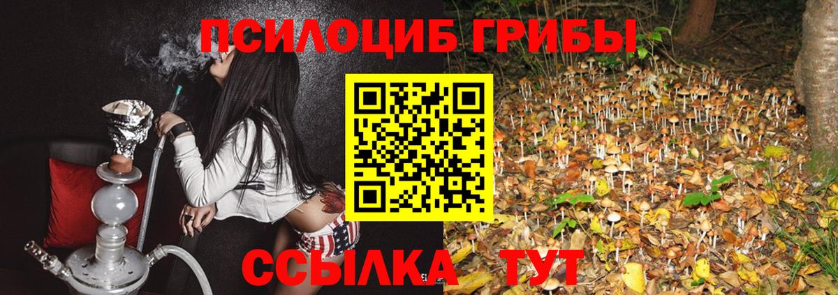 Мурино  Псилоцибиновые грибы Magic Shrooms  Псилоцибиновые грибы GOLDEN TEACHER  Вход с VPN 
