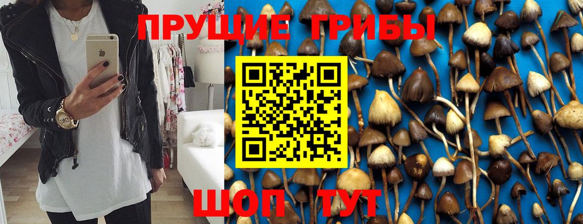 Галлюциногенные грибы Magic Shrooms Мурино